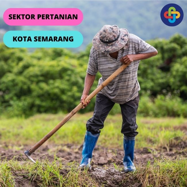 Bagaimana Kondisi Sektor Pertanian Indonesia Saat Ini